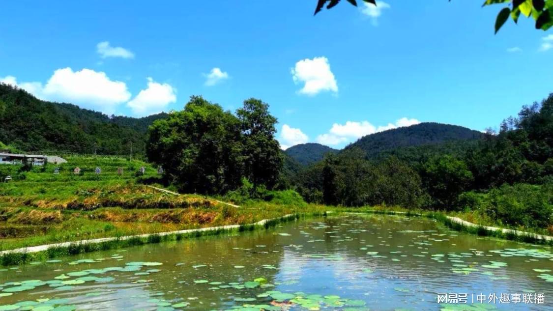 抖音免费涨热度软件：热度提升新方法助燃短视频内容传播_快手作品涨赞一块钱500个赞