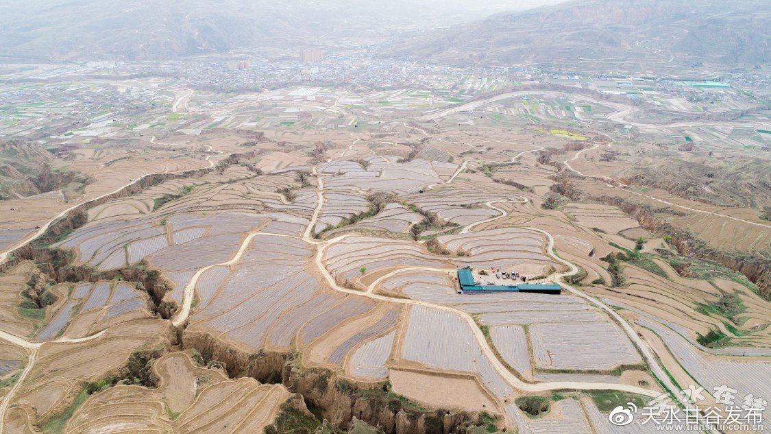 全网最便宜的涨赞业务：自媒体高效增粉攻略指南