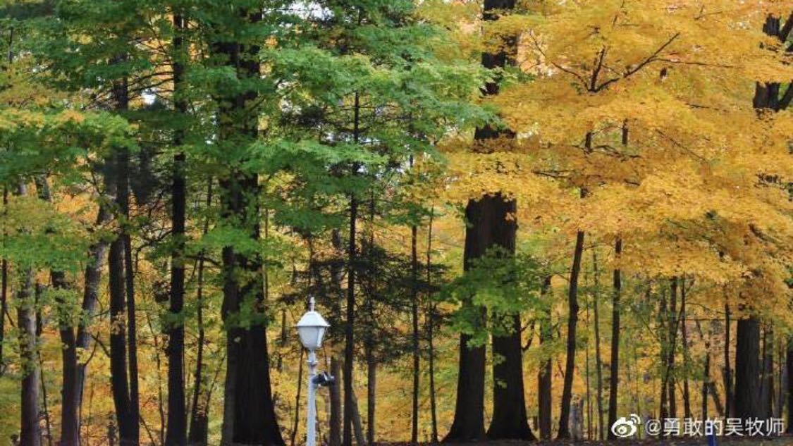 快手涨赞双击平台低价：网络热点助力内容传播增效